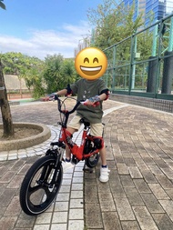 飛鴿 兒童摺疊單車 16吋  連黑色收納袋