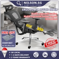 NELSON Full Mesh Office Chair Ergonomic chair - Adjustable Backrest Height, 3D Arms, Lumbar Support, Headrest and Tilt Angle