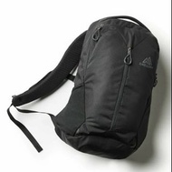 【💥 日本直送】20L GREGORY  背包 雙肩包