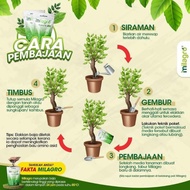 🔥VIRAL 2021🔥BAJA MILAGRO ORGANIK BAJA ORGANIK DAN 💥💥💥BOOSTER TANAMAN MILAGROW ORGANIC FERTILIZER UNTUK SAYUR BUAH