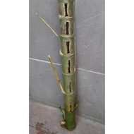\NEW/ bambu petuk unik paling dicari per pcs