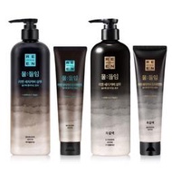 韓國LG REEN 自然遮瑕白髮 洗髮精 潤髮乳 2022新品 韓國新品  露天市集  全臺最大的網路購物市集