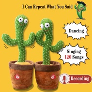 【READY STOCK】Cactus Toy Plush Talk Dancing Cactus Toys Song cactus dance Electric Singing Dance