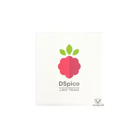 2PCS New DSpico Open Source R4 Alternative with Type-C & RP2040, Supports NDS/DSi/3DS, No Card Reade