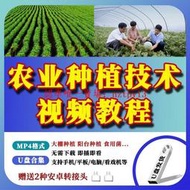 現貨農業種植技術視頻教程U盤辣椒西瓜草莓芽苗菜菌菇種植大棚種植u盤