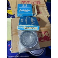 AS 30 AS30 Stieber One Way Clutch Bearing