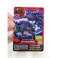 Animal Kaiser Cards - Animal Cards