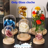 FAYSHOW2 Glass cloche Terrarium Tabletop Plants Glass Vase Terrarium Jar Flower Storage box