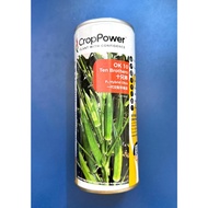 Biji Benih Bendi/Okra Seeds/ 秋葵种子 - CROP POWER (F1 HYBRID OK10) 200g