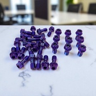 BANJO R TITANIUM BOLT CALIPER NEPEL BOLT ROUGH & FINE THREAD CALIPER BANJO BOLT