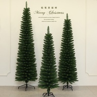 Christmas Encrypted Large Christmas Tree Green Pointed Simulation Slim Weight Loss Pencil Tree Chris