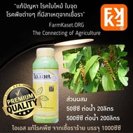 โรคพริกไทย พริกไทยใบไหม้ แอนแทรคโนส ราต่างๆ เพลี้ย ใบหงิก หนอน เร่งโต บำรุง พริกไทย ปุ๋ยยาฯคุณภาพสูง (ใช้ได้ทุกพืช) FK
