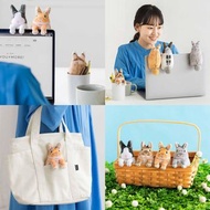 YOU+MORE! 蹦出頭來的掛掛兔迷你收納包 可掛Mon 清潔鍵盤 日本 Felissimo