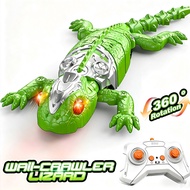 Gecko Rush Cat Toy that Climbs the Wall, Wall Climbing Lizard Toy for Cats, Wall Climbing Gecko, Rem