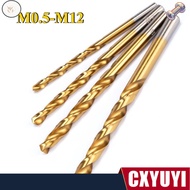 WF Twist Drill Bit HSS TiN Coated   M0.5-M12 Ready Stock【CXYUYI-1】