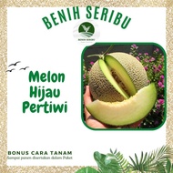 2 Biji - Benih melon Hijau Pertiwi F1 bibit seed Benih Melon Hijau