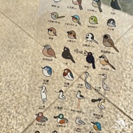 小鳥貼紙手賬裝飾禮物設計新穎可愛手賬愛好者