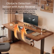 Electric Standing Desk Smart Desk Ergonomic Height Adjustable PC Gaming Desk Table Office Study Tabl