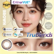 [Power 0.00 until -8.00] ColourVue Trublends Monthly Color Contact Lenses (Brown, Hazel)