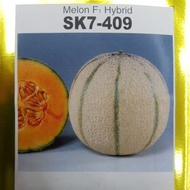 10 seeds Benih Rock Melon Sakata SK7-409 Melon F1 Hybrid repack rockmelon SK7 409