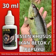 Essen ikan betok liar papuyu betik paling ampuh