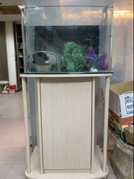 (二手魚缸設備全包）二手魚缸濾水器餵食器溫度計水溫加熱棒高櫃孵化箱