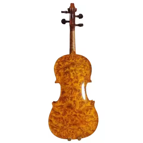 Handmade Master 4/4 Violin bird's eye maple back old spruce top hand carved nice sound