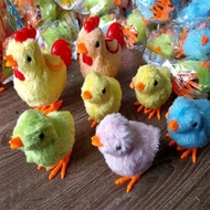 Set of chicks running around both chickens, parents and 5 chicks