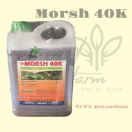 Morsh 40K | Rainbow | Morsh 40K Rainbow - 4LITER