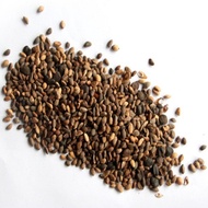 Black Pine Spring Broadcast Seed Oil Green Seed Pine Oil Pine Wholesale Seedling Oil Pine Good Seed 