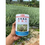 Pegalak buah Nanas/Nenas Pineapple Hormon - Pil Ana/Anaa