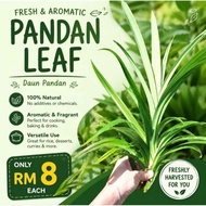 班兰叶 Daun Pandan / Pandan Leaf
