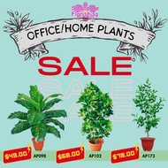 [SIngaporeFlorist.sg] Artificial Plants | Home &amp; Office Decor | Same Day Delivery