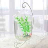 Hanging Hanging Glass Transparent Succulent Plant Fish Tank Vase Small Glass Fish Tank Creative Betta Tank Mini Fish Bow