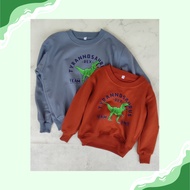 / Kids Sweater / Kids Jacket T-REX Kids Sweater