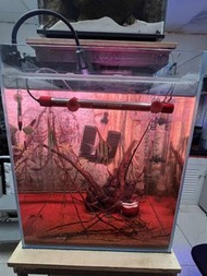 超白玻璃魚缸，連櫃5 0 X 4 0 X 1 3 0 C M