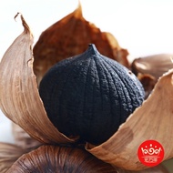 Shandong Jinxianghong Wannian Fresh Black Garlic Unique Black Garlic Black Garlic Instant Black Garl