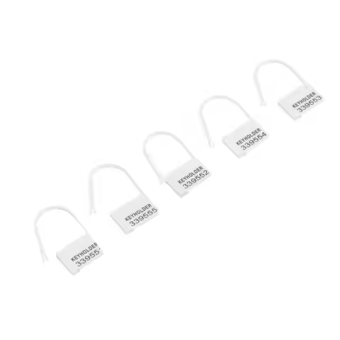 convenientDisposable Plastic Chastity Device Key Set Anticheat No Repeat Nums chastity device Access