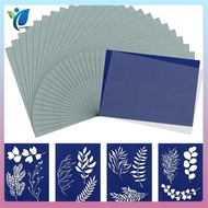 Cyanotype Paper Kit 24 Sheets Sun Print Paper with 20 Leaves and Frame for Adults