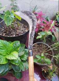 PEMBERSIH RUMPUT ARIT ANTIK ATAU PARANG....ARIT SIAP PAKAI SUPER TAJAM ARIT BAJA FULL ARIT BAJA ARIT