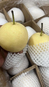 Buah Pir Century 1kg
