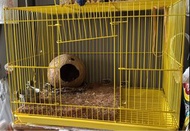 鳥籠 雀籠