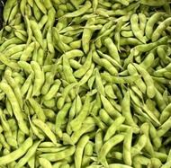 EDAMAME FRESH QUALITY PREMIUM 1KG | kedelai edamame