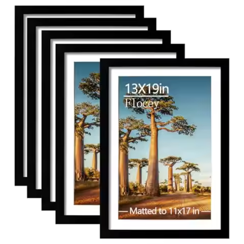 13x19 Picture Frame Set of 5 Poster Frame Display Pictures 11 x 17 with Mat or 13 x 19 Without Mat f