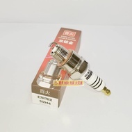 Double Iridium E7RTIIX Suitable for E6TC4114 BPR8HS BP8HS-10 BP8HS/SA BR8HS-10