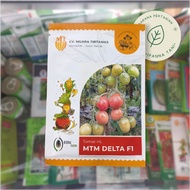 BENIH MTM DELTA F1 10GR – BENIH SAYURAN TOMAT F1 | BIBIT SAYURAN TOMAT F1