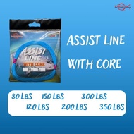 Relix Nusantara Assist Line With Core Kevlar Hollow Assist HOOK