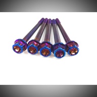 Titanium skru titanium screw enjin screw engine screw rainbow colour skru Y15ZR LC135 king drag opbr