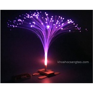 Science toys - Glowing tree toys