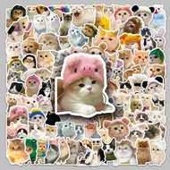 Stickers|Cat Emoticon Pack Sticker|Cat Sticker|Cat|Tiktok Sticker Pack|Large Package Stickers|Decora